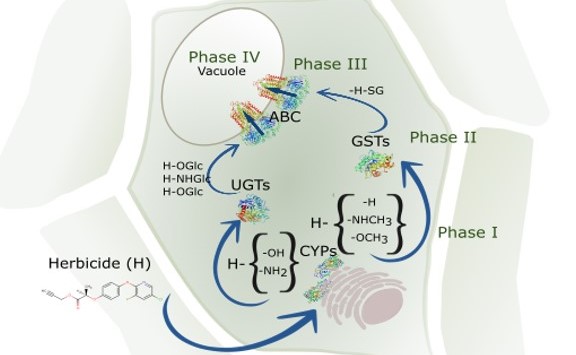 Cell chemistry